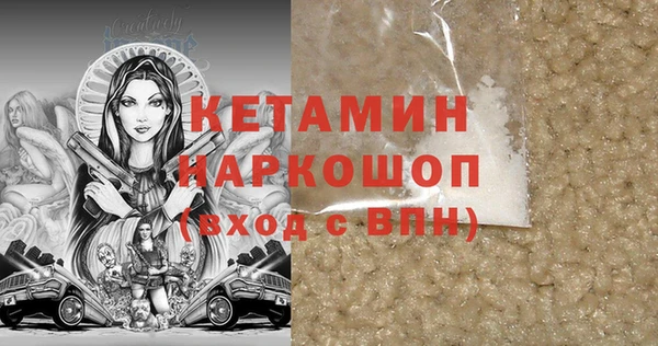 шишки Покачи