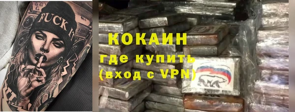 шишки Покачи